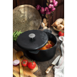 قابلمه Hugo 24