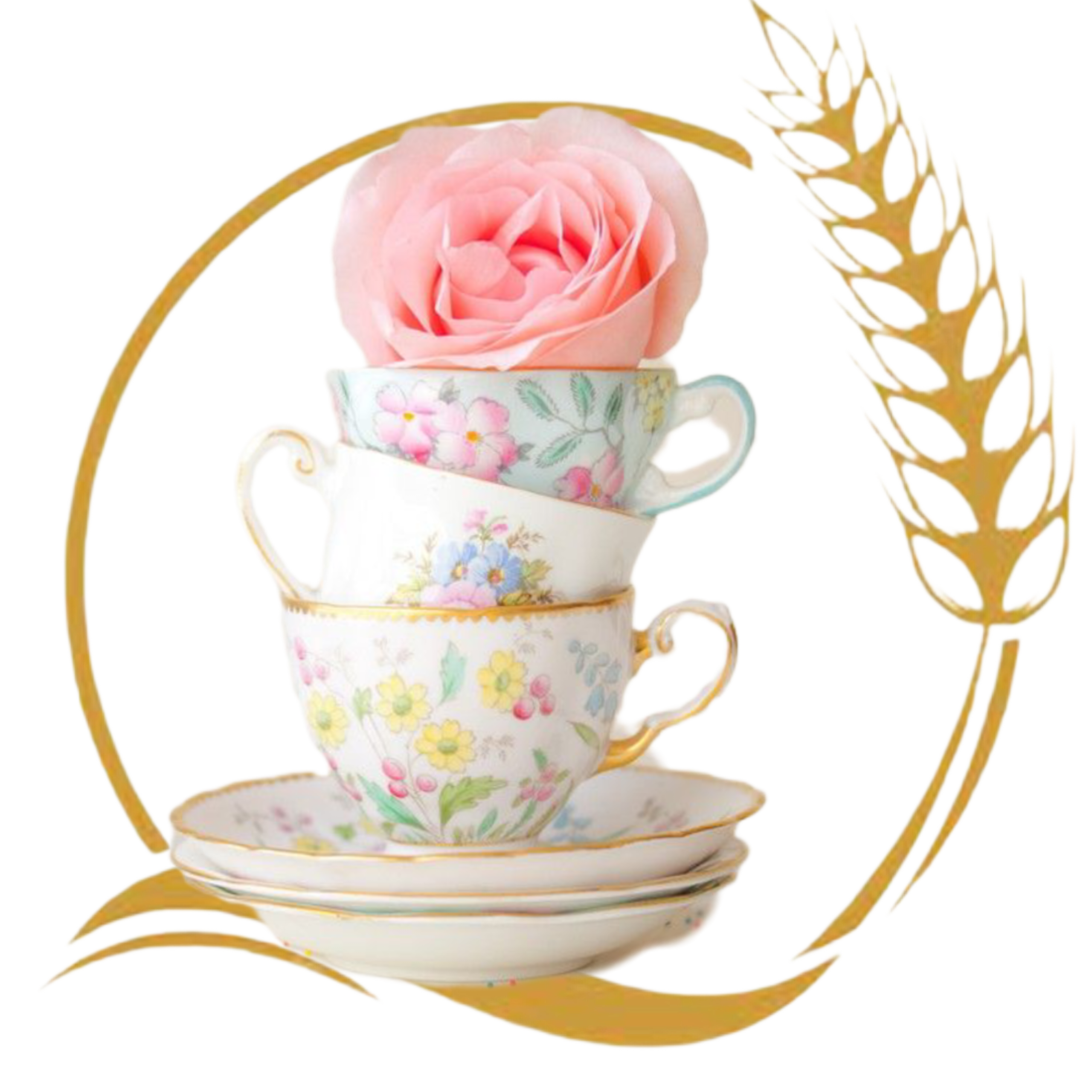 promotion-categories